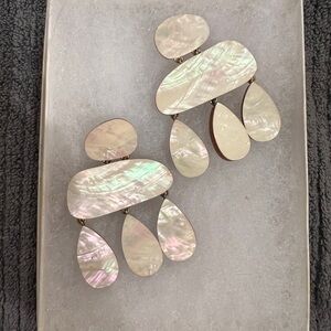 Wolf and Moon mother of pearl on wood earrings